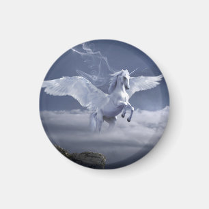 Pegasus under flygning magnet