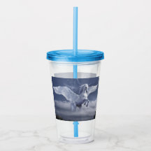 Pegasus under flygning