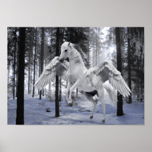 Pegasus Winged Flies Horse Forest Snö Poster