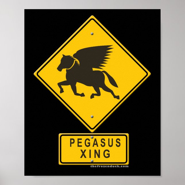 Pegasus XING Poster (Framsidan)