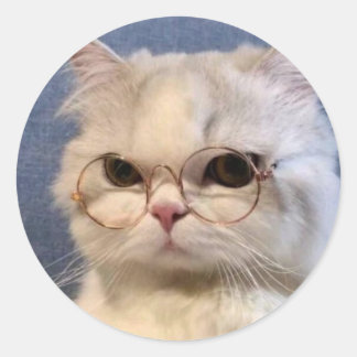 Pegatina de gato runt klistermärke