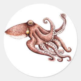 Pegatina Pulpo Octopus vulgaris Runt Klistermärke