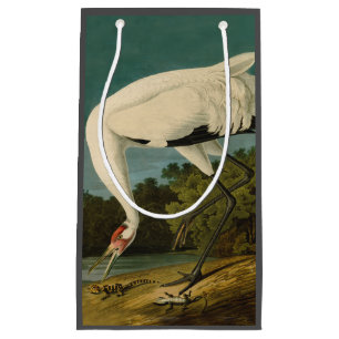 Pejsarfärgning av kran Audubon-fåglar