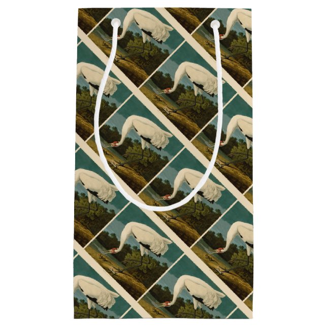 Pejsarfärgning av kran Audubon-fåglar (Framsidan)