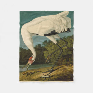 Pejsarfärgning av kran Audubon-fåglar Fleecefilt