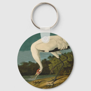 Pejsarfärgning av kran Audubon-fåglar Nyckelring