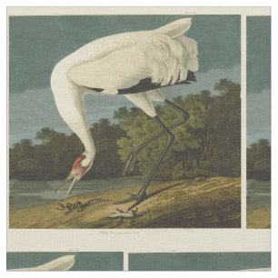 Pejsarfärgning av kran Audubon-fåglar Tyg