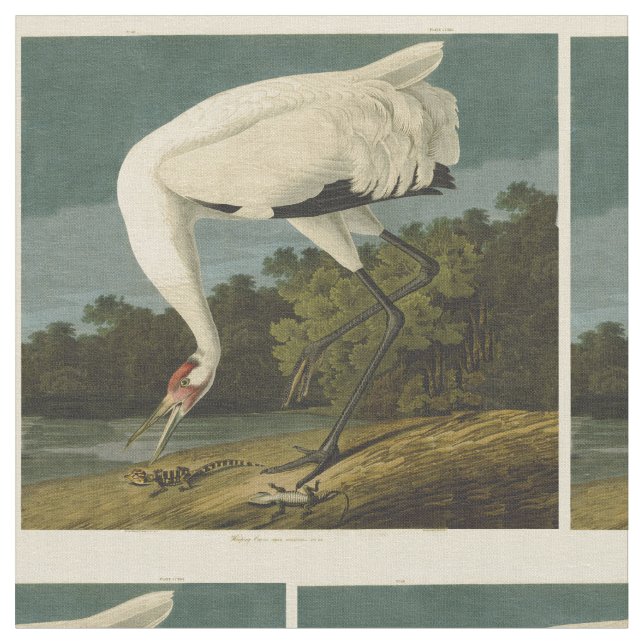 Pejsarfärgning av kran Audubon-fåglar Tyg (Närbild)