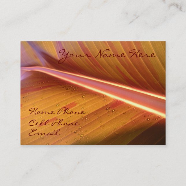 Peka av ljust profilerar kortet visitkort (Framsida)