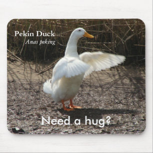 Pekin anka (behöv en kram?), Mousepad Musmatta