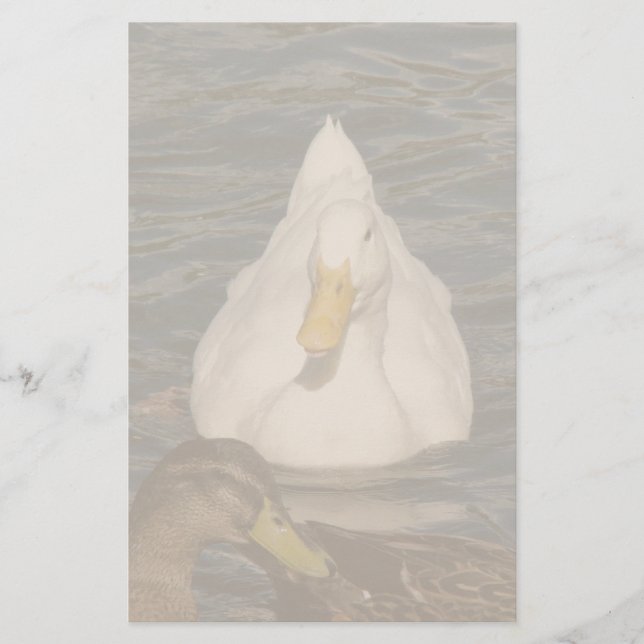 Pekin Anka Birds Stationery Brevpapper (Framsida)