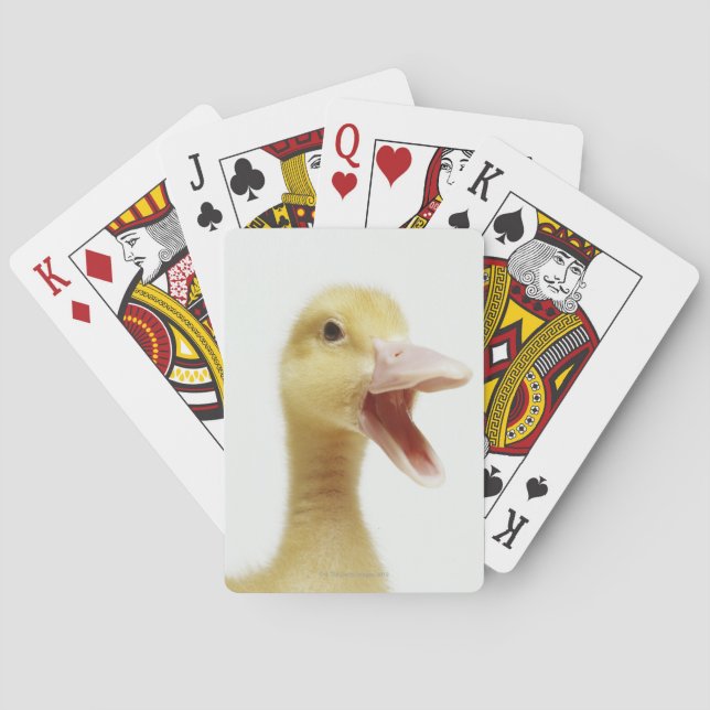 Pekin anka chick, huvudskott kortlek (Baksidan)