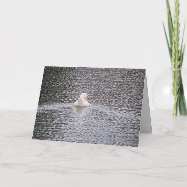 Pekin Anka simmar bort hälsningskort Kort (Framsida)