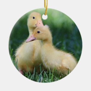 Pekin Ducklings Julgransprydnad Keramik