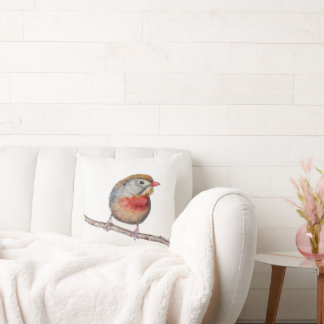 Pekin Robin Bird (Leiothrix lutea) Kudde