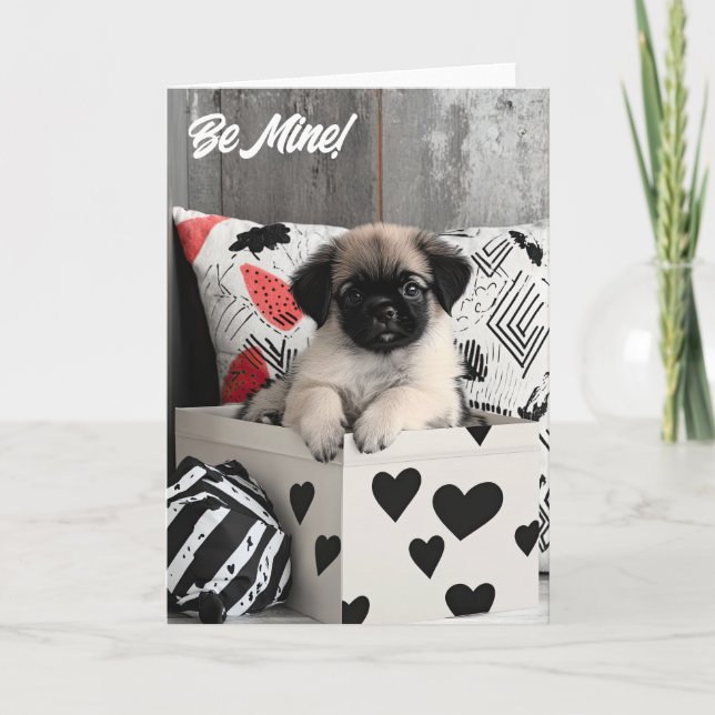 Pekinese Puppy Valentine Card Tack Kort (Framsida)