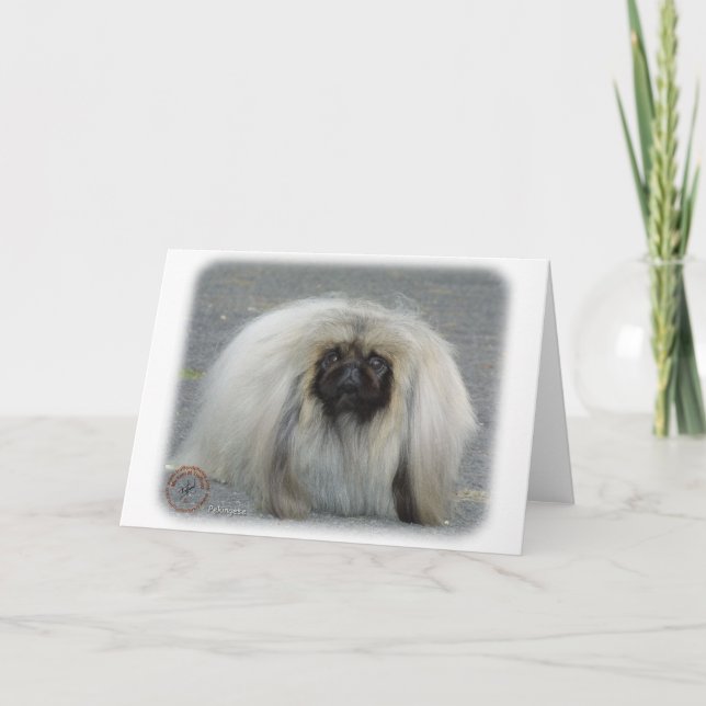 Pekingese 9R072D-026 Kort (Framsida)