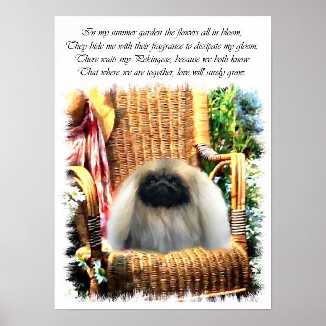 Pekingese Art Print Poster (Framsidan)