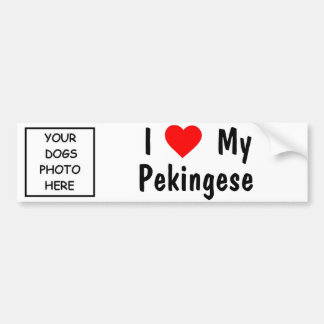 Pekingese Bildekal
