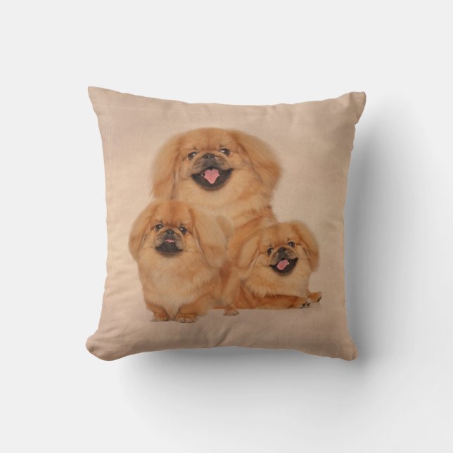 Pekingese förföljer collage kudde (Framsida)