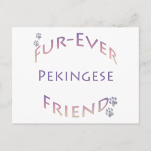 Pekingese Furever Vykort