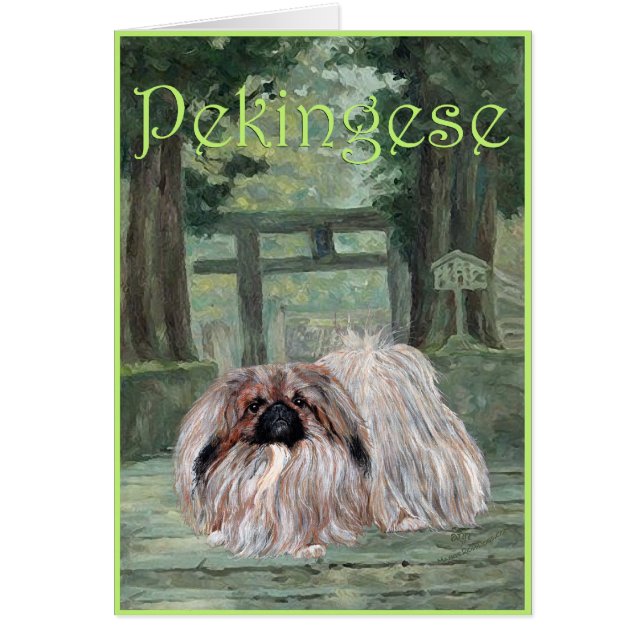 Pekingese Greeting Card Hälsningskort (Framsidan)