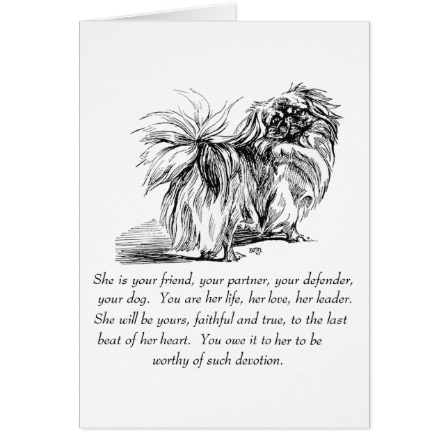 Pekingese Greeting Card Hälsningskort (Framsidan)