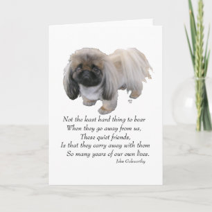 Pekingese Greeting Card Kort