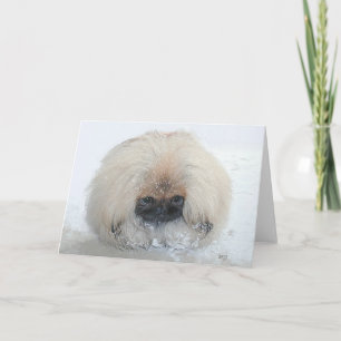 Pekingese Greeting Card Kort