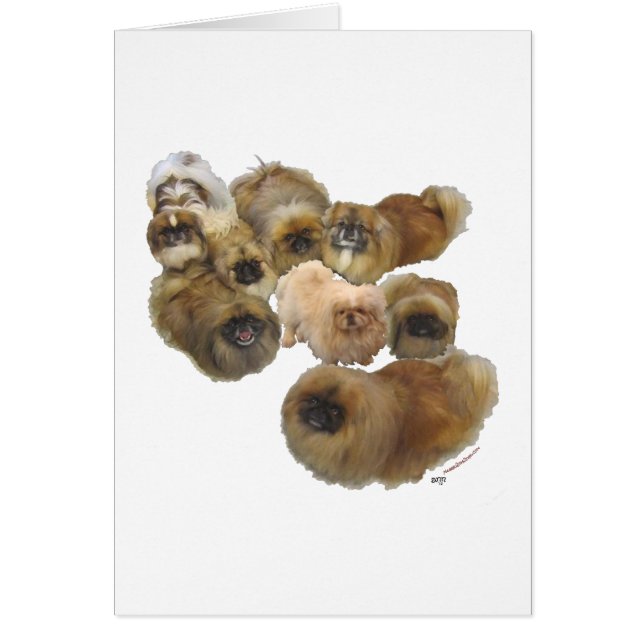 Pekingese Group Hälsningskort (Framsidan)