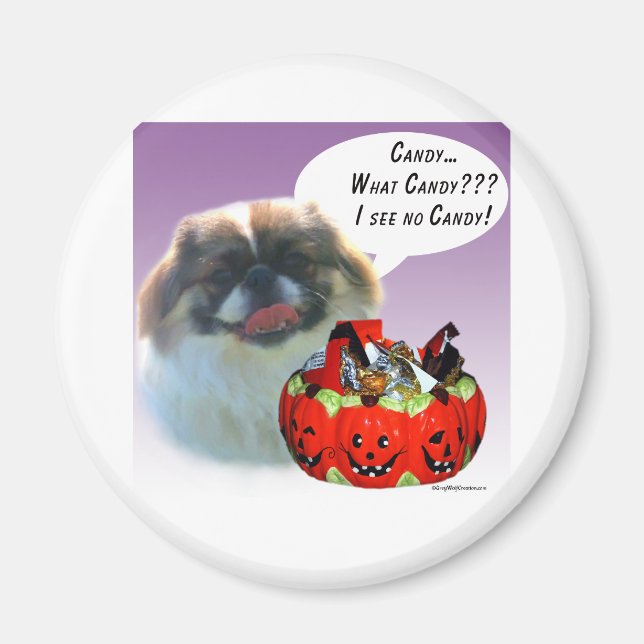 Pekingese Halloween Candy Magnet (Framsidan)