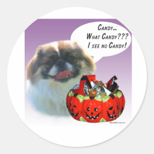 Pekingese Halloween Candy Runt Klistermärke