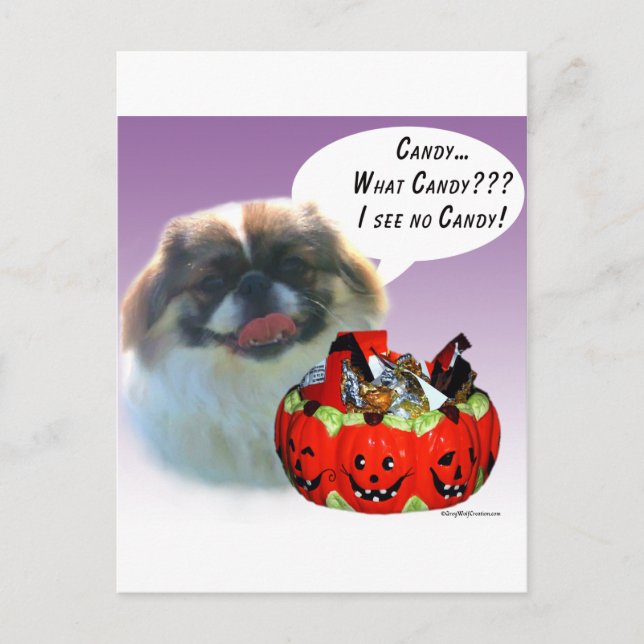 Pekingese Halloween Candy Vykort (Framsida)