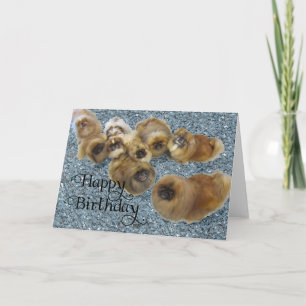 Pekingese-hälsningskort Kort