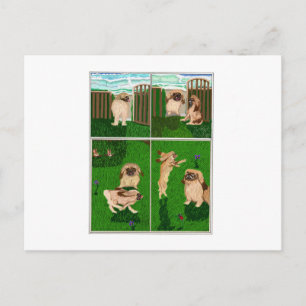 Pekingese Helg Vykort