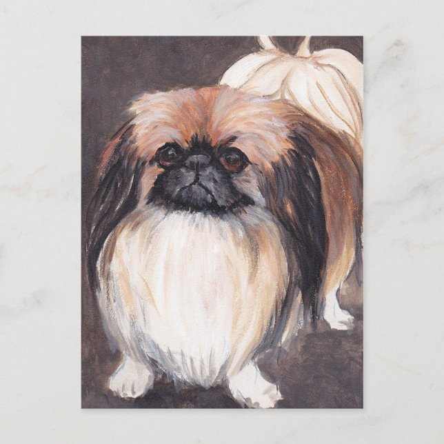 Pekingese Hund Art-vykort Vykort (Framsida)