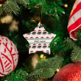 Pekingese Hund aveln, julstjärnor Julgransprydnad Keramik