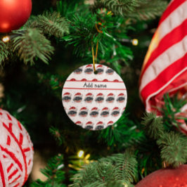 Pekingese Hund aveln, julstjärnor Julgransprydnad Keramik