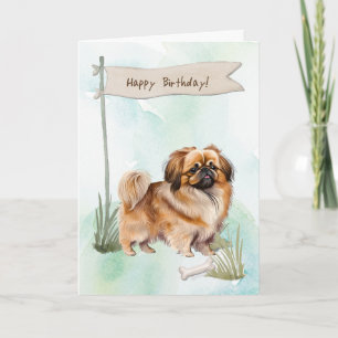 Pekingese Hund aveln utanför födelsedagstecknet Kort