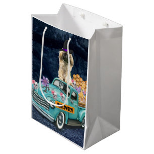 Pekingese Hund Halloween Lastbil Scary Natt