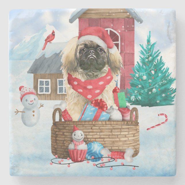 Pekingese Hund i snö julhus Hund Stenunderlägg (Framsidan)