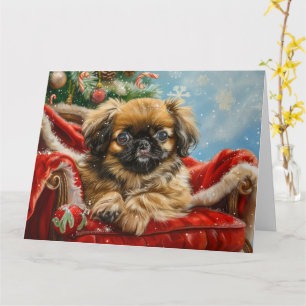 Pekingese Hund jul Kort