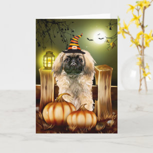 Pekingese Hund med Witch Hat Halloween Kort