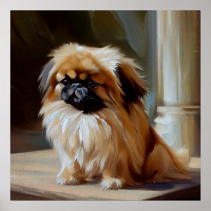 Pekingese Hund Poster
