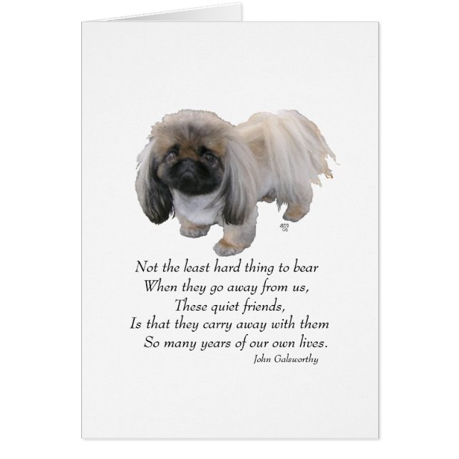Pekingese Hund Rainbow Bridge Hälsningskort (Framsidan)