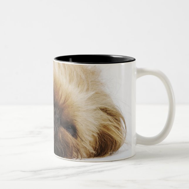 Pekingese hund, tätt upp Två-Tonad mugg (Höger)