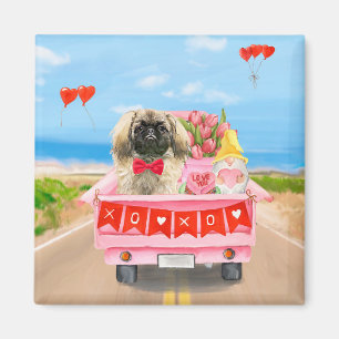 Pekingese Hund Valentindagen Lastbil Hearts Magnet