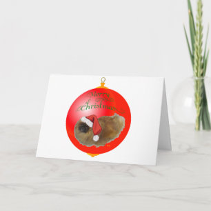 Pekingese-julprydnad Helgkort