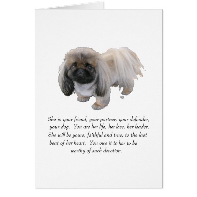 Pekingese KeepVII - FEMALE Hälsningskort (Framsidan)