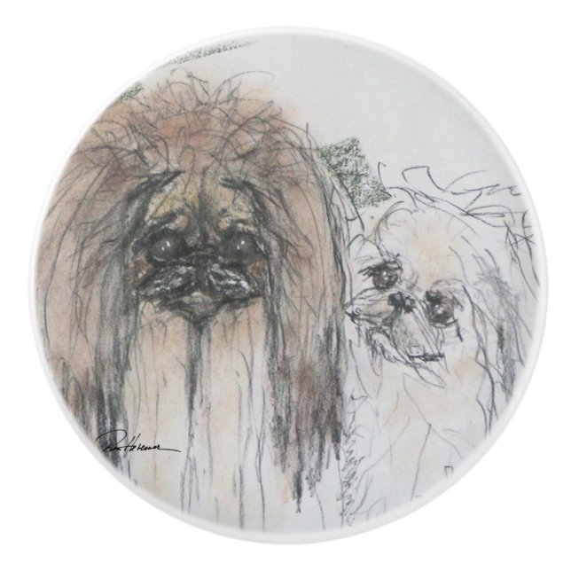 Pekingese Knopp (Framsidan)